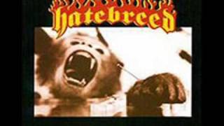 Watch Hatebreed Kill An Addict video