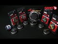 Gamo Pellet Compilation Video