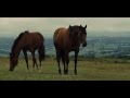Боевой конь / War Horse (2011) BDRip от HELLYWOOD