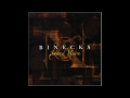 BINECKS - Distorted Minds