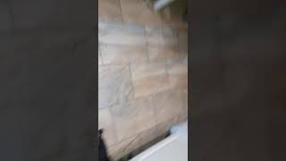 Patterdale Puppies3