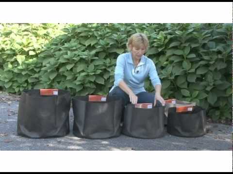 Container Gardening Made Easy With Smart Pots Grow The Best Possible Plants And Trees Where You Want Them To Grow The Smart Pot Is A Fabric...