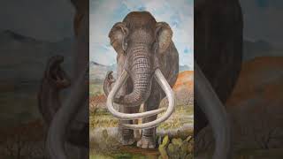 Columbian Mammoth Sound Effects