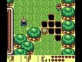The Legend of Zelda Link's Awakening - 22 - The Face of Evil