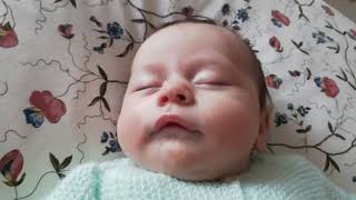 Watch Pacifier Imaginary video
