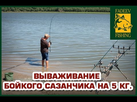 ловля на фидер на цивиле ловля на фидер на цивиле