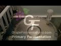 Video How to Make Wine: Stainless Steel Fermenter During Primary Fermentation
