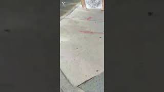 Funny Thing Found On Google Earth