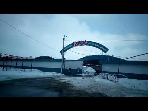 Детское питание — скидки и акции в Воронеже