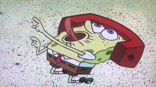 Spongebob Squarepants Im With Stupid Funny