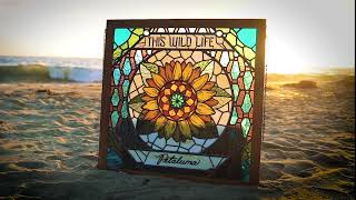 Watch This Wild Life Never Believe video
