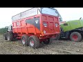 ensilage
