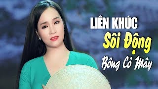 Liên Khúc Nhạc Vàng Hải Ngoại Cực Hay - Liên Khúc Bông Cỏ Mây - ĐÀO ANH THƯ