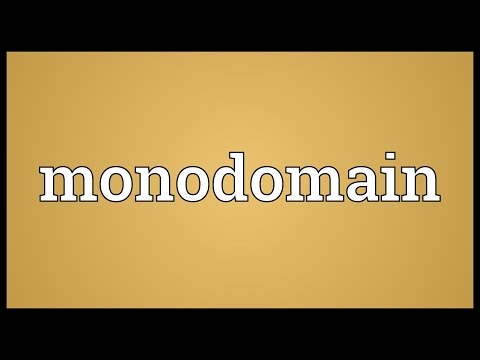 Header of Monodomain