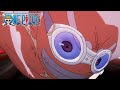 Luffy Gives Rob Lucci PTSD | One Piece