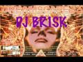 Dj Brisk @ Dreamscape 22 @ The Sanctuary MK 20th July 1996