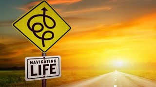 Navigating Life: Love Takes Center Stage