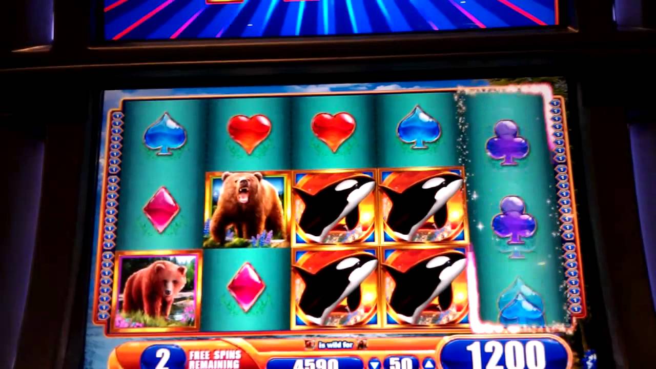 Kodiak island slot