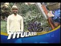 J Balvin El Artista Más Importante del Género Urbano en Colombia