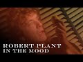 Robert Plant | 'In the Mood' | Official Music Video