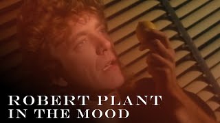 Watch Robert Plant In The Mood video