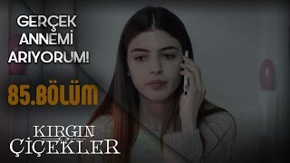 Gerçek Annesi Için Ilan Vermek Isteyen Defne - Kırgın Çiçekler 85.Bölüm