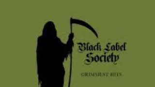 Watch Black Label Society Illusions Of Peace video