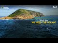 Why Do We Need the Ocean? | Hostile Planet | Full Episode S01-E02 | हिन्दी | National Geographic