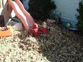 playin in a big pile of leaves 2