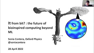 Sonia Contera: It from bit? The future of bioinspired computing beyond ML