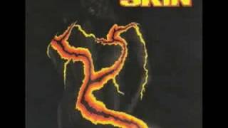 Watch Skin Shine Your Light video