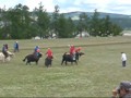 Yak+Polo%2C+Mongolia+2010_0001.wmv