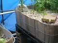 The Generous Garden Project Acquaponics Grow System