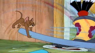 Tom And Jerry - 021 Episodes - Flirty Birdy - Top Games & Movies
