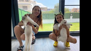 Kedi̇leri̇mi̇zi̇ Zi̇yarete Gi̇di̇yoruz