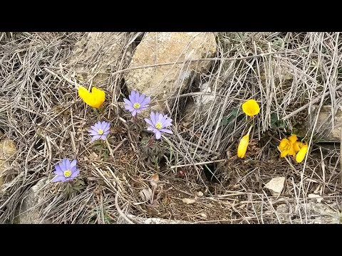 Uyur iken uyardilar - SAVAS ER /CAFER BOYACI Video Klibi Uyur iken uyardilar - SAVAS ER /CAFER BOYACI Video Klibi