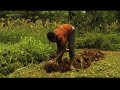 Subsistence