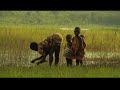Subsistence