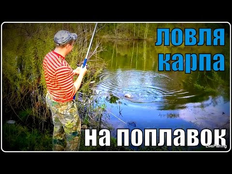 ловля на поплавочную в мае ловля на поплавочную в мае