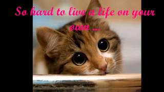 Watch Christopher Cross What Am I Supposed To Believe video