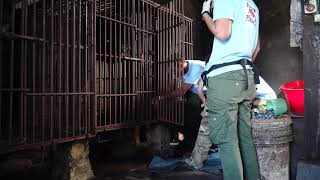 3 more bile bears are free! | FOUR PAWS | www.four-paws.org