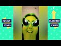 TRY NOT TO LAUGH - Funny Fails to Watch While Quarantined!