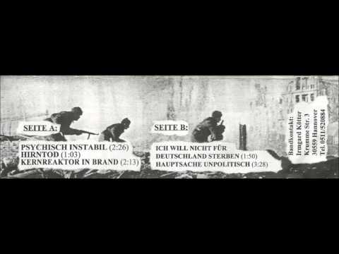 Kernreaktor Video