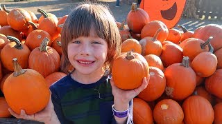 Cox Farms 2019 🎃Fall Festival - Pumpkinville Northern Virginia 👈