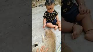 Vlog Video Odia Chennal Das So Nice Raglan