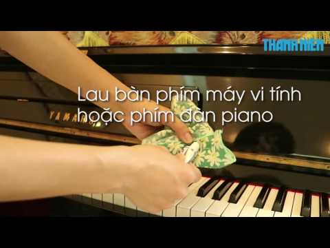 Mẹo vặt: Khử mùi, làm sạch bóng giày da, vệ sinh các loại bàn phím với Kem đánh răng