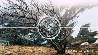 Tracktribe - No Mercy No Copyright Music