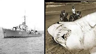 Güney Afrika Donanması Dev Bir Megalodon Köpekbalığıyla Mı Karşılaştı?