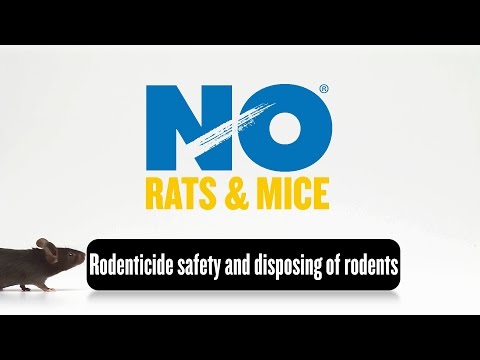 Video - How to Use Rodenticides Safely
