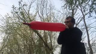 Qualatex Q646 Balloon Blow To Pop